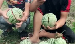 网红农村吃自己瓜,网红农村自产瓜果美食之旅